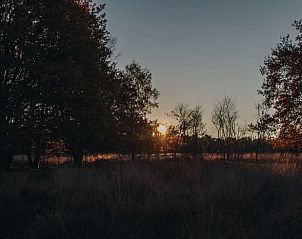 Guest house 320920 - Holiday property Veluwe - Huisje in Ermelo