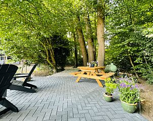 Schattige Terrasse am Ferienhaus in Ermelo, Veluwe, Gelderland mit Bumen.