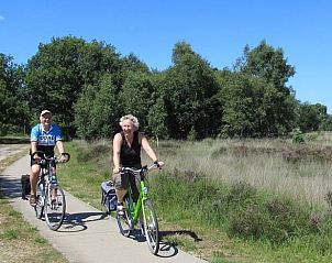 Guest house 320983 - Holiday property Veluwe - Vakantiehuis in Ermelo