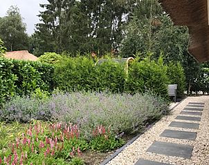 Beautiful garden at Holiday home in Ermelo, Veluwe, Gelderland with colorful flowers.