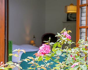 Guest house 320994 - Holiday property Veluwe - Huisje in Ermelo