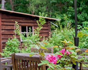 Guest house 320994 - Holiday property Veluwe - Huisje in Ermelo