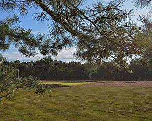 Guest house 320994 - Holiday property Veluwe - Huisje in Ermelo