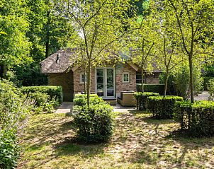 Unterkunft 320995 - Ferienhaus Veluwe - Huisje in Ermelo