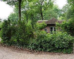 Unterkunft 320995 - Ferienhaus Veluwe - Huisje in Ermelo