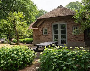 Unterkunft 320995 - Ferienhaus Veluwe - Huisje in Ermelo