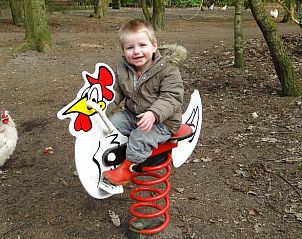 Unterkunft 320997 - Ferienhaus Veluwe - Huisje in Ermelo