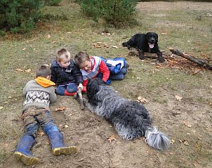 Unterkunft 320997 - Ferienhaus Veluwe - Huisje in Ermelo