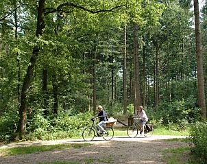 Guest house 320998 - Holiday property Veluwe - Huisje in Ermelo