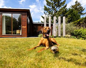 Unterkunft 321012 - Ferienhaus Veluwe - Tiny Lodge