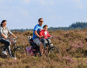 Unterkunft 321018 - Ferienhaus Veluwe - Veluwe Lodge