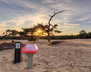 Unterkunft 321019 - Ferienhaus Veluwe - Bungalow Comfort