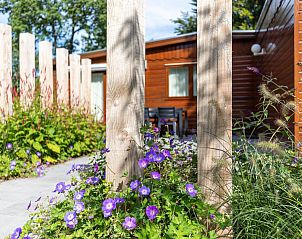 Unterkunft 321020 - Ferienhaus Veluwe - Cozy Lodge | 5 personen