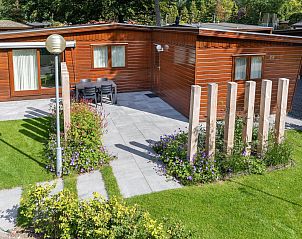 Unterkunft 321020 - Ferienhaus Veluwe - Cozy Lodge | 5 personen