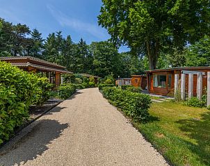 Unterkunft 321020 - Ferienhaus Veluwe - Cozy Lodge | 5 personen
