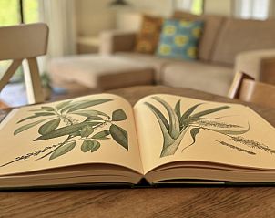 Unterkunft 321033 - Ferienhaus Veluwe - Tiny Lodge Basic