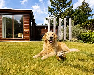 Verblijf 321046 - Vakantiewoning Veluwe - Private Lodge