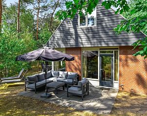 Miggelenberg 6-persoons bungalow 6CE1 in Hoenderloo met terras en omringd door de Veluwse bossen.