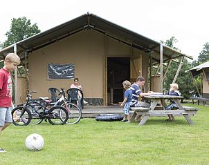 Guest house 3211100 - Holiday property Veluwe - Woodlodge