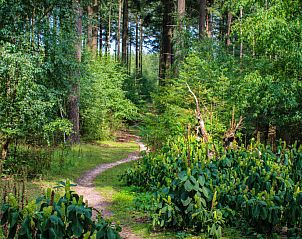 Verblijf 3211115 - Appartement Veluwe - Appartement Celisa s Häuschen