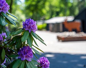 Verblijf 3211115 - Appartement Veluwe - Appartement Celisa s Häuschen