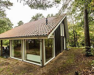 Unterkunft 3211121 - Bungalow Veluwe - Miggelenberg | 8-persoons bungalow | 8L