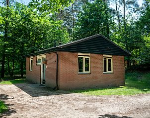 Unterkunft 3211128 - Bungalow Veluwe - Miggelenberg | 4-persoons bungalow | 4B
