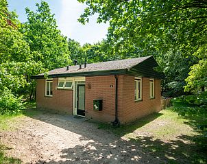 Verblijf 3211129 - Bungalow Veluwe - Miggelenberg | 4-persoons hondenbungalow | 4CD