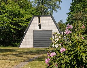 Guest house 321113 • Holiday property Veluwe • Comfort Classic Sauna 4 