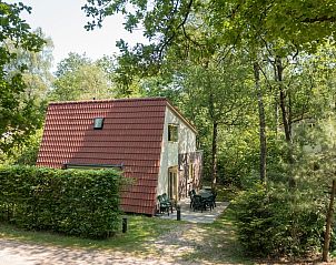 Bosvilla 6-7 in Hoenderloo, Veluwe, biedt een serene omgeving voor een ontspannen verblijf.