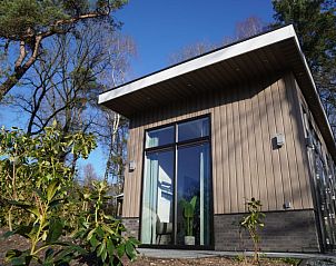 Buitenkant van Vakantiehuis Tiny House in Hoenderloo, Veluwe omgeven door groene natuur.