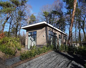 Vakantiehuis Tiny House in Hoenderloo, Veluwe gelegen in een groene omgeving.