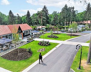 Overzicht van het park bij Vakantiehuis Tiny House, Hoenderloo, Veluwe met faciliteiten.
