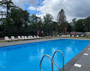 Zwembad bij Vakantiehuis Tiny House, Hoenderloo, Veluwe omringd door ligstoelen.