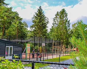 Sportfaciliteiten bij Vakantiehuis Tiny House, Hoenderloo, Veluwe met basketbalveld.