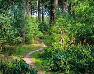 Verblijf 321120 - Vakantiewoning Veluwe - Vakantiehuis Veluwe