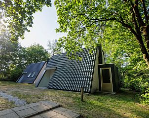 Unterkunft 321135 - Ferienhaus Veluwe - Vrijstaande woning in Hoenderloo