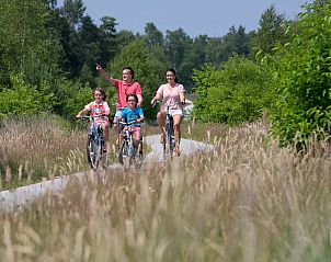 Unterkunft 321135 - Ferienhaus Veluwe - Vrijstaande woning in Hoenderloo