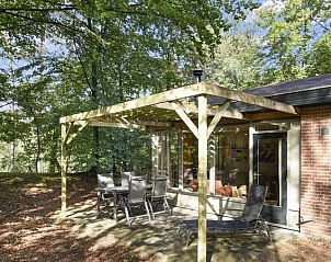 Rustig terras omgeven door groen bij Miggelenberg 4-persoons bungalow 4CE3, Hoenderloo.