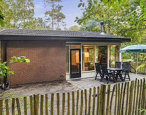 Guest house 321171 • Bungalow Veluwe • Miggelenberg | 4-persoons hondenbungalow | 4CD 