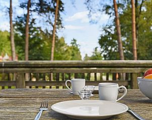 Buiten dineren met uitzicht op de Veluwe, Miggelenberg boomhut in Hoenderloo.