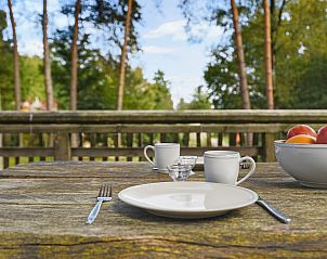 Plattegrond van Miggelenberg 4-persoons boomhut in Hoenderloo, Veluwe.