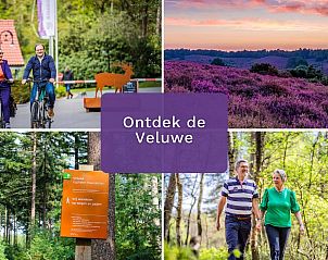 Unterkunft 321181 - Ferienhaus Veluwe - Vakantiewoning Hertenhoeve XL Luxe | 6 persoons