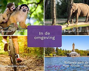 Verblijf 321185 - Vakantiewoning Veluwe - Groepsaccommodatie Douglas | 10 persoons