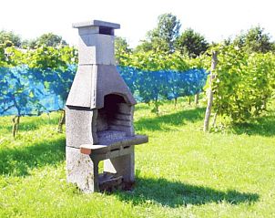 Buitenbarbecue bij Huisje in Terwolde, vakantieverblijf in Veluwe, ideaal voor gezellige avonden.