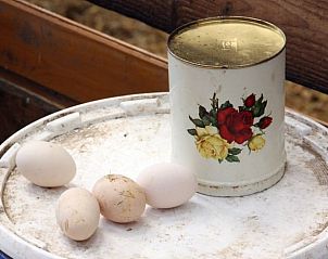 Verse eieren bij Huisje in Terwolde, landelijke vakantiewoning in Veluwe, Gelderland.