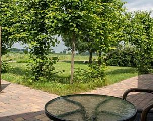 Rustgevend uitzicht vanuit Vakantiehuis in Terwolde, Veluwe, Gelderland met groene omgeving.