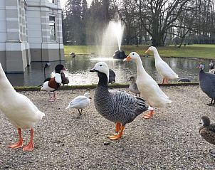 Verblijf 321520 - Vakantiewoning Veluwe - Huisje in Terwolde