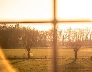 Uitzicht op de natuur vanuit Vakantiehuisje in Terwolde, Veluwe, Gelderland.