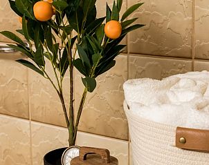 Verblijf 321533 - Vakantiewoning Veluwe - Huisje in Terwolde